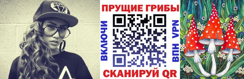 Купить где Аткарск Галлюциногенные грибы Cubensis